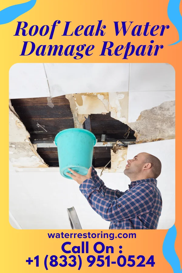 Roof Leak Water Damage Repair in Emington, IL